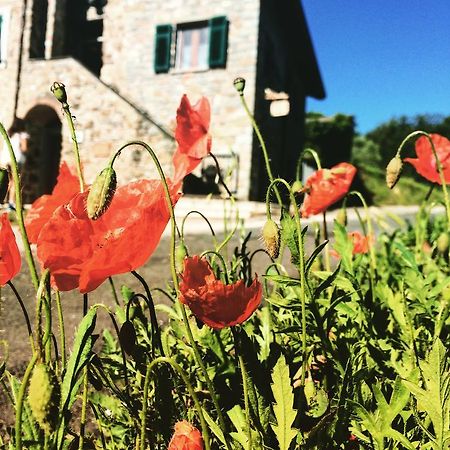 Agriturismo Angio Nel Cere Bracelli エクステリア 写真