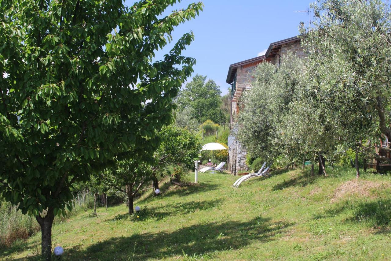 Agriturismo Angio Nel Cere Bracelli エクステリア 写真