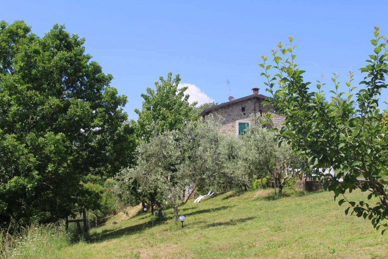 Agriturismo Angio Nel Cere Bracelli エクステリア 写真