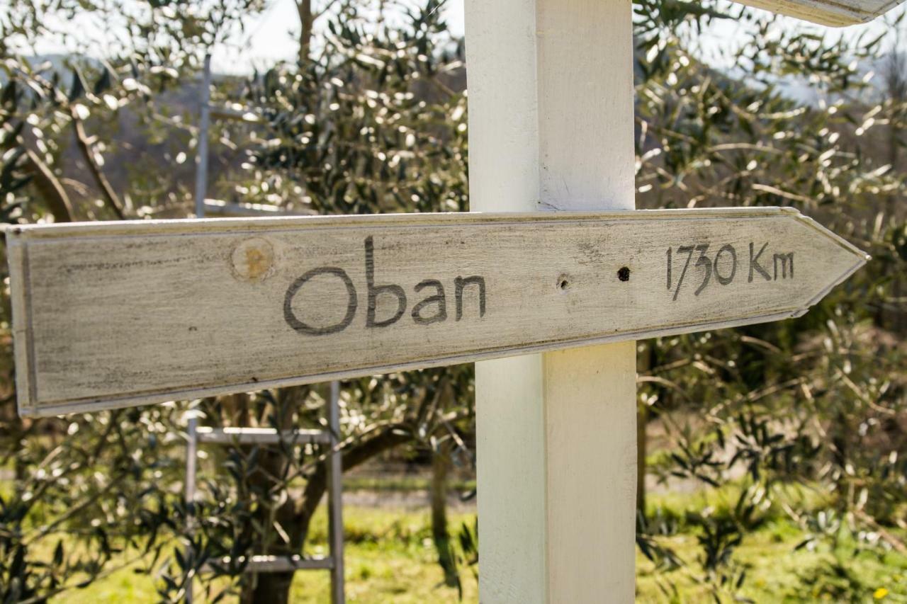 Agriturismo Angio Nel Cere Bracelli エクステリア 写真