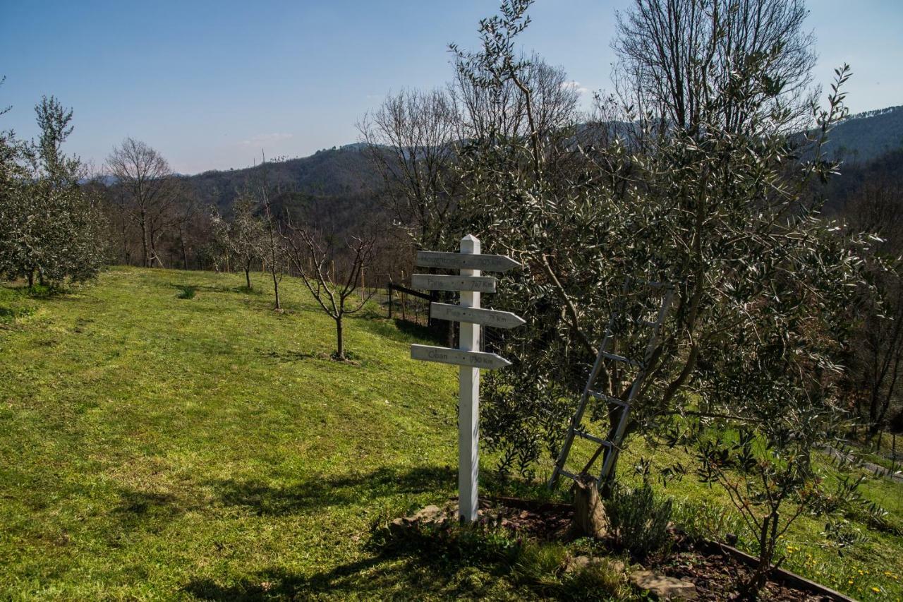 Agriturismo Angio Nel Cere Bracelli エクステリア 写真